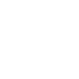 Dallas Mavericks logo