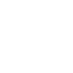 WOLO ABC 25 Columbia SC logo