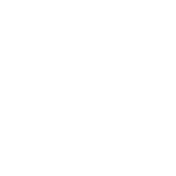 CTV Wild logo
