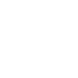 CBS News Detroit logo