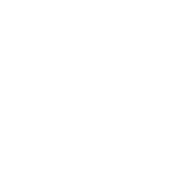 So... Real logo