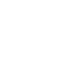 Survivor Mexico logo
