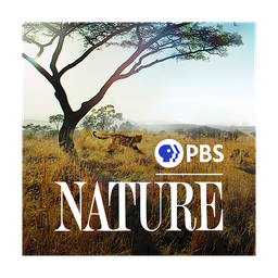 PBS Nature logo