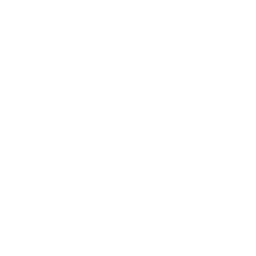 Bon Voyage logo