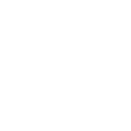 Zoom logo