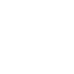 The Virginian logo