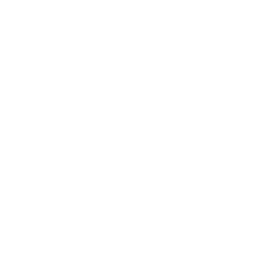 XITE The Beatles logo