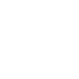 FOX (WTVT) logo