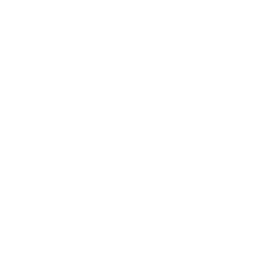 Seattle Storm logo