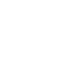 News Only logo