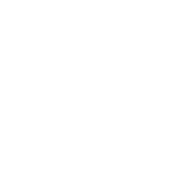 FilmRise Action logo