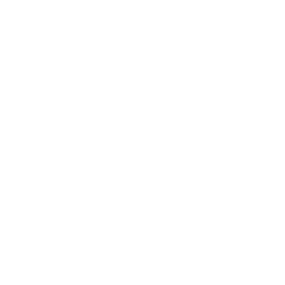 NBC 6 South Florida News logo