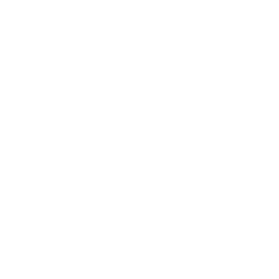 Primetime Soaps logo