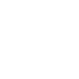 Euronews English logo
