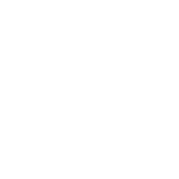 Antenna Satellite logo