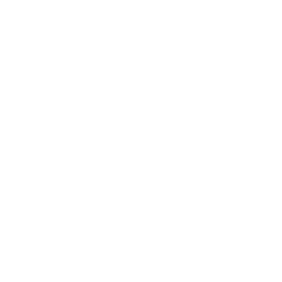 ICI RDI logo