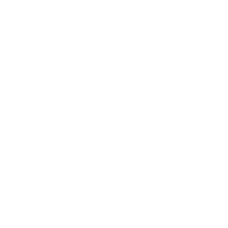 Washington Mystics logo