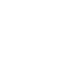 Heroes & Icons logo