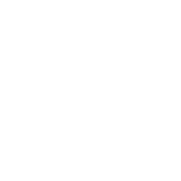 TV Globo Internacional logo