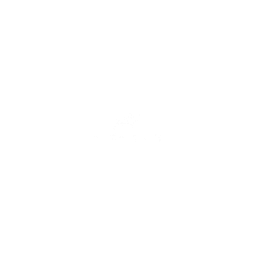 Animal Planet logo