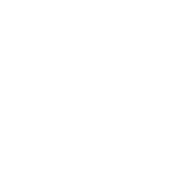 NFL Channel logo