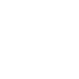 Euronews Portuguese logo