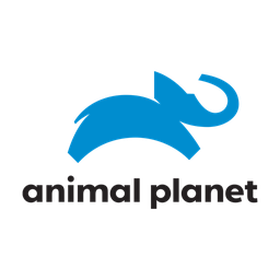 Animal Planet logo