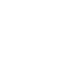 NBC 5 Dallas Fort Worth News logo