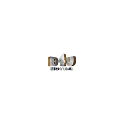 B4U Movies logo