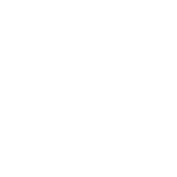 Disco Polo Music logo