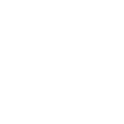 Chicago Sky logo