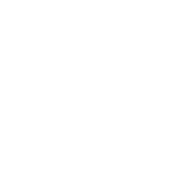 TV Land logo