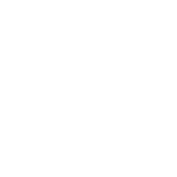 Pitaara logo