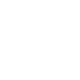Dominance FC TV logo