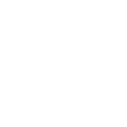 FilmRise Anime logo