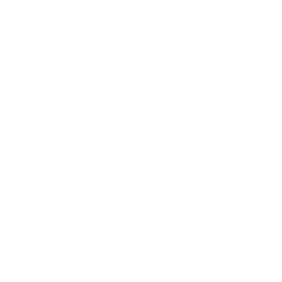Jade Fever logo