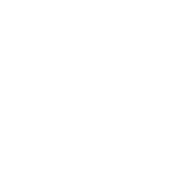 Premiere 6 logo