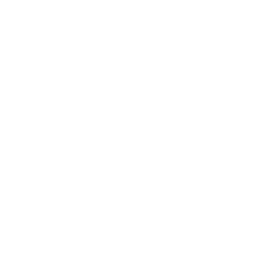 Orlando Magic logo
