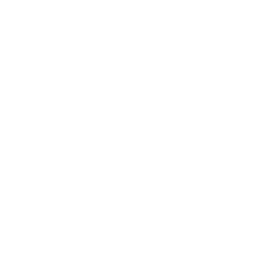 Washington Nationals logo