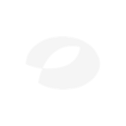 Hunan Satellite TV logo