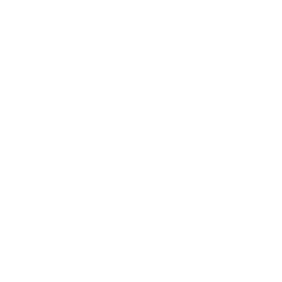 Chicago Bulls logo