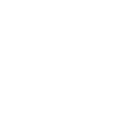 New York Liberty logo