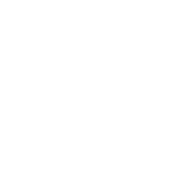 Say Yes to the Dress logo