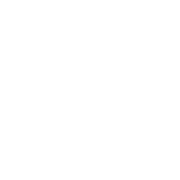 Detroit Tigers logo