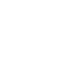 REELZ logo