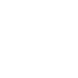 Nuestra Vision logo