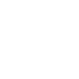 Adult Swim logo