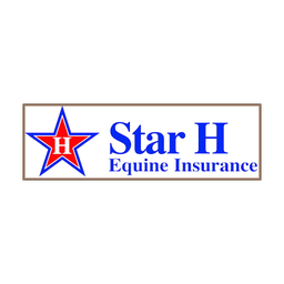 Star HD-Dish logo