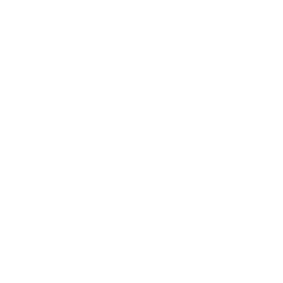 Stingray Soul Storm logo