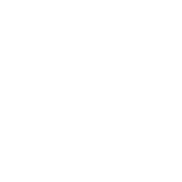 Toronto Raptors logo